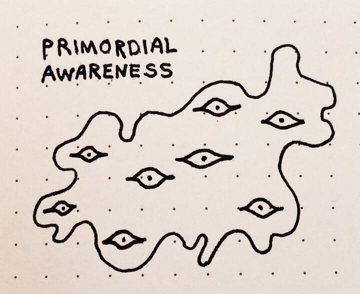 primordial_awareness_720px.jpg